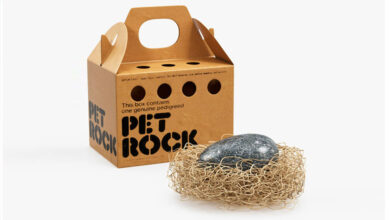 Photo of Pet Rock, una absurda genialidad comercial